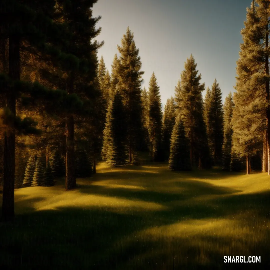 Grassy field with trees and a sky background. Example of Sand dune color.