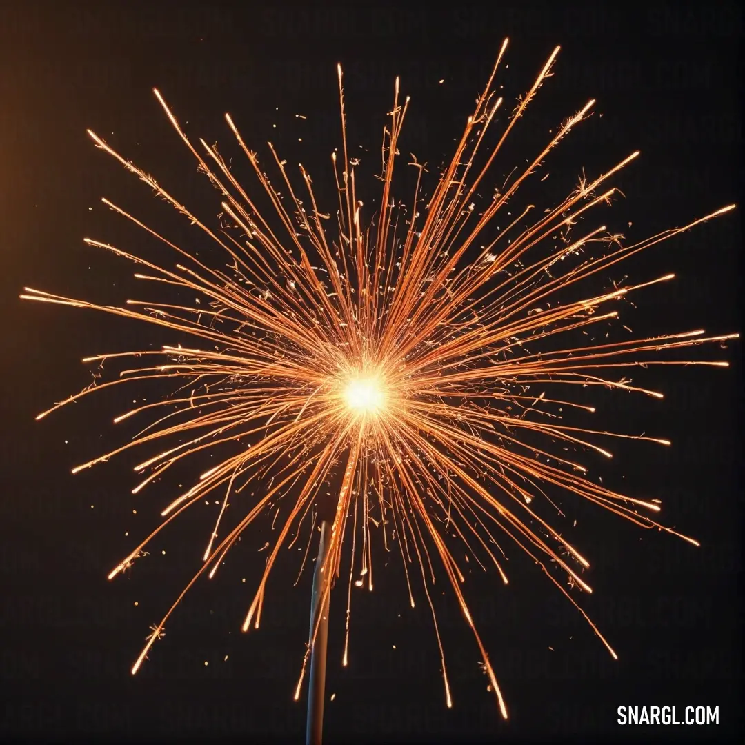 Fireworks is lit up in the night sky with a black background. Color #F4A460.