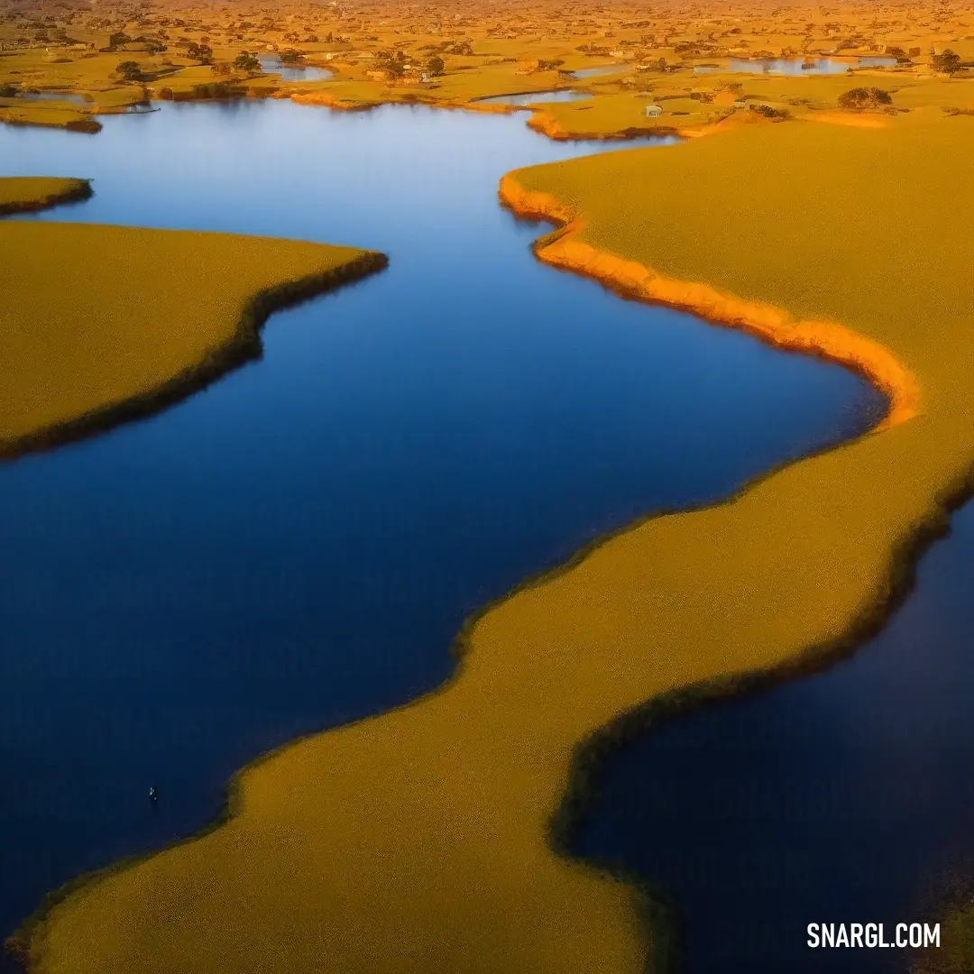 River running through a lush green field next to a forest filled with trees and grass covered in yellow