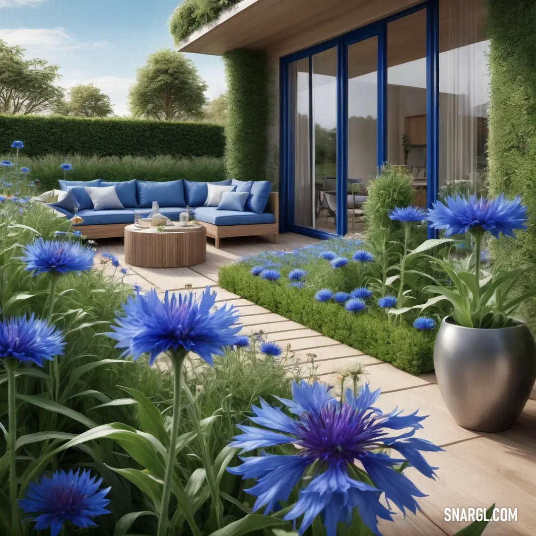 Blue couch in a lush green garden next to a blue couch and table. Example of RGB 15,82,186 color.