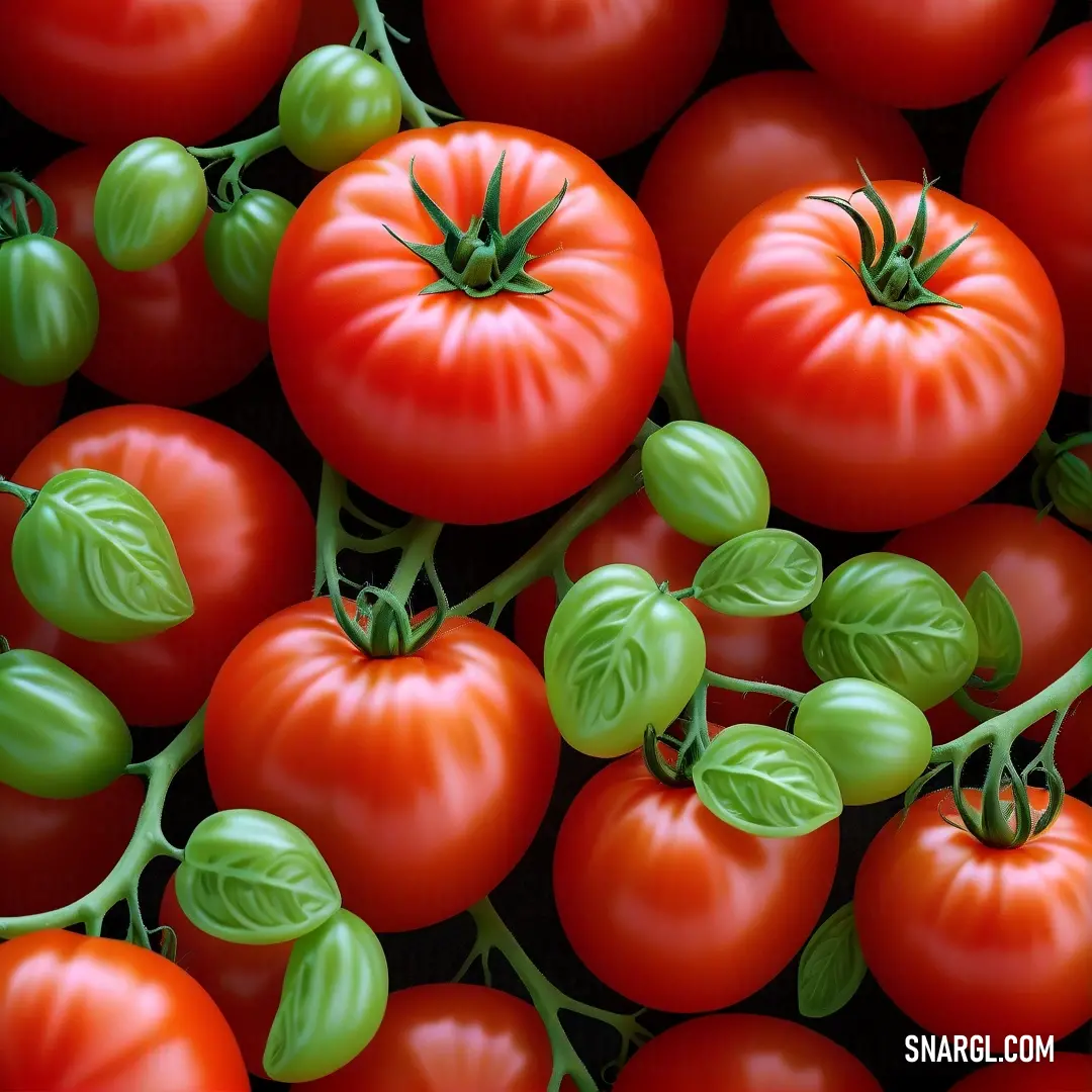 Bunch of tomatoes with green stems and tomatoes on them, all in a pile. Color CMYK 0,86,100,0.