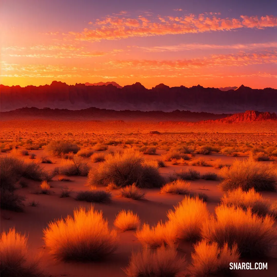 Desert with a sunset in the background and a mountain range in the distance with a red sky and clouds