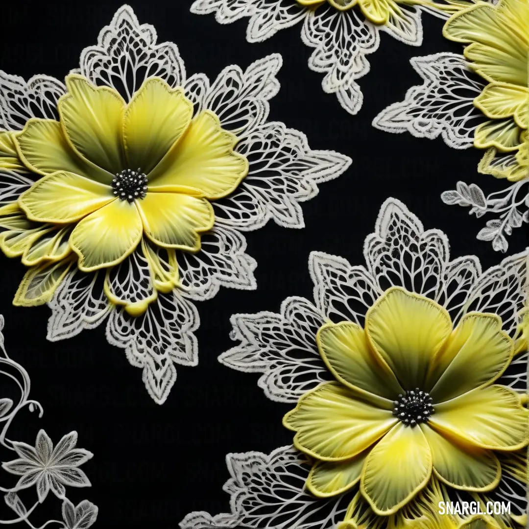 Black and yellow flower with white lace on it's sides and a black background