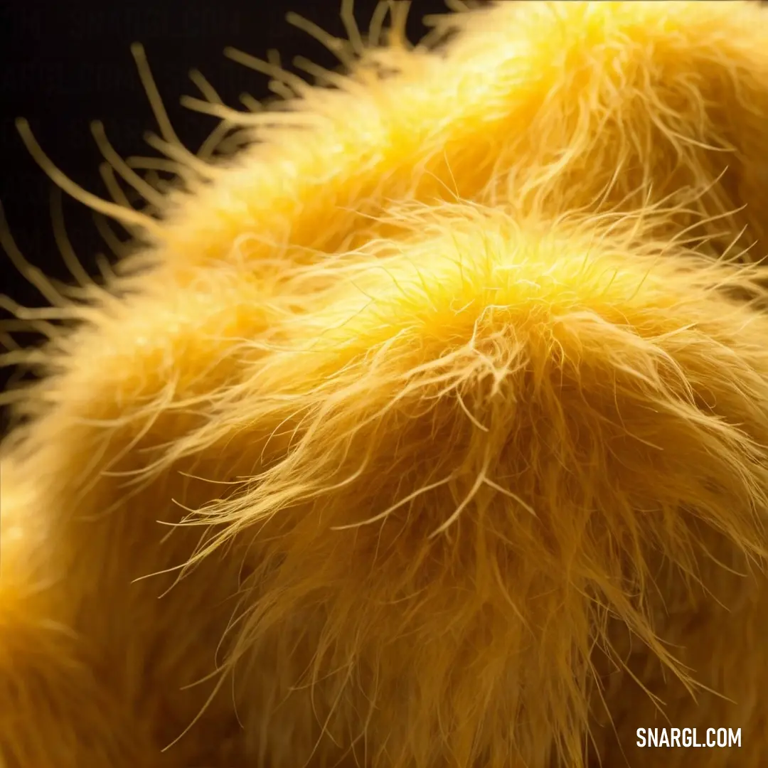 School bus yellow color example: Close up of a yellow furry animal's fur textured with yellow hair and spikes on it