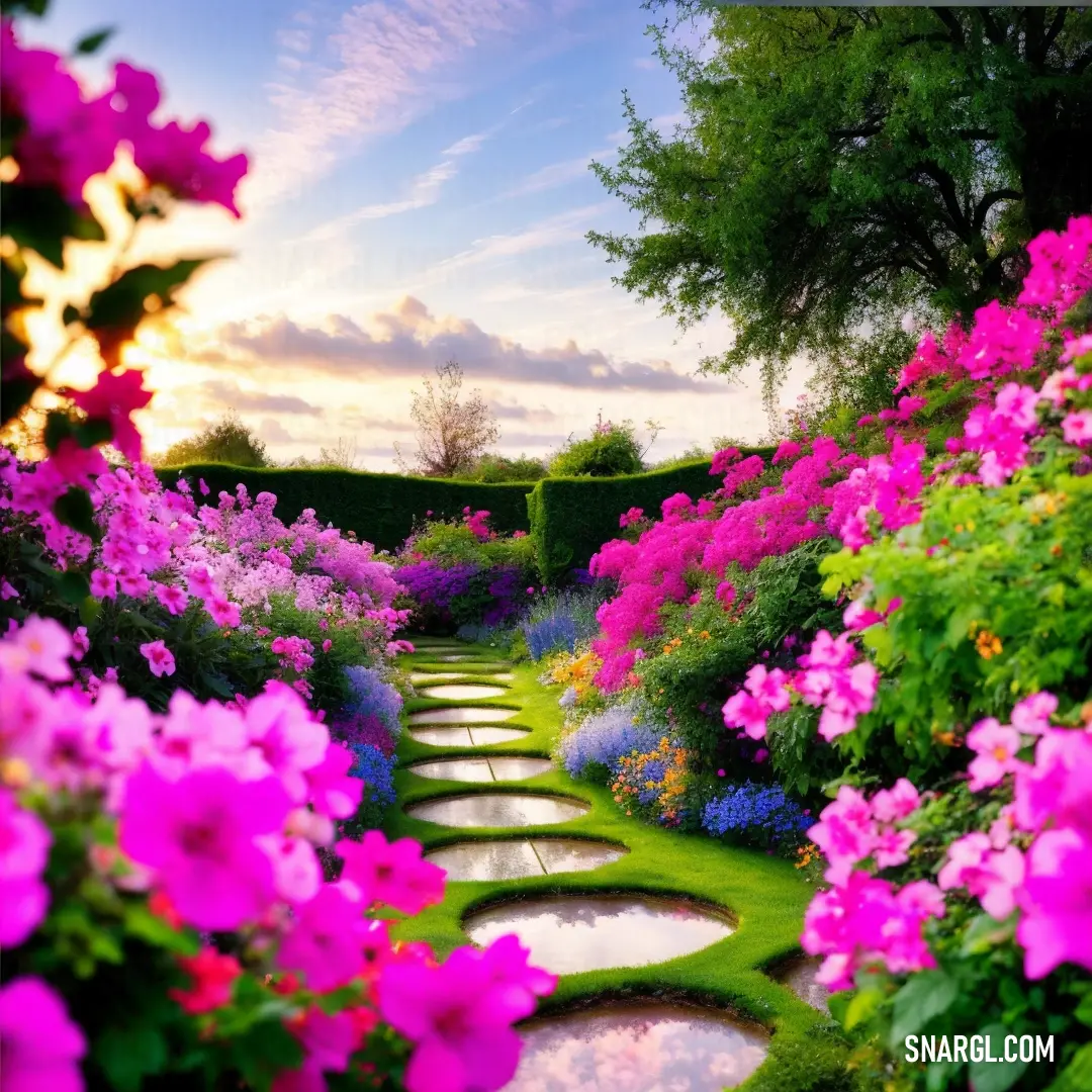 Garden with a path made of stepping stones and flowers in the foreground and a sunset in the background. Color Shocking pink.
