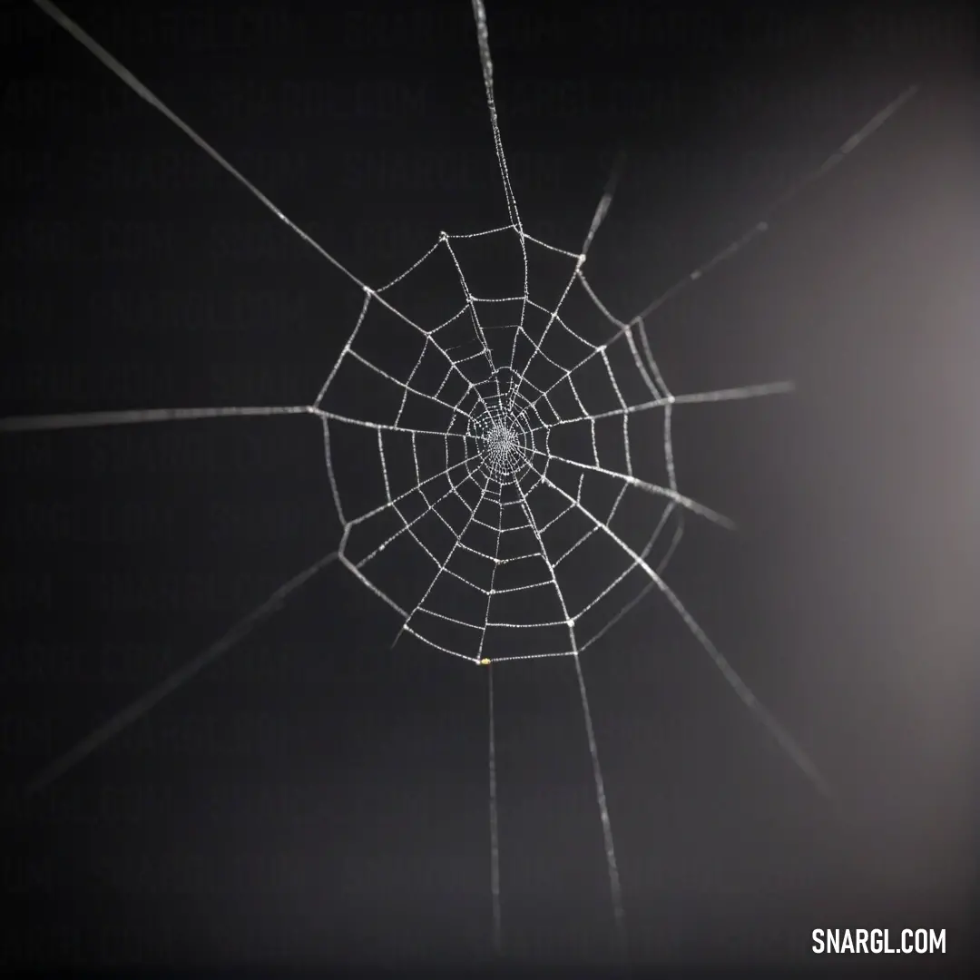 A mesmerizing spider web adorned with glistening water droplets, gracefully showcased against the deep, mysterious hues of a black night sky.