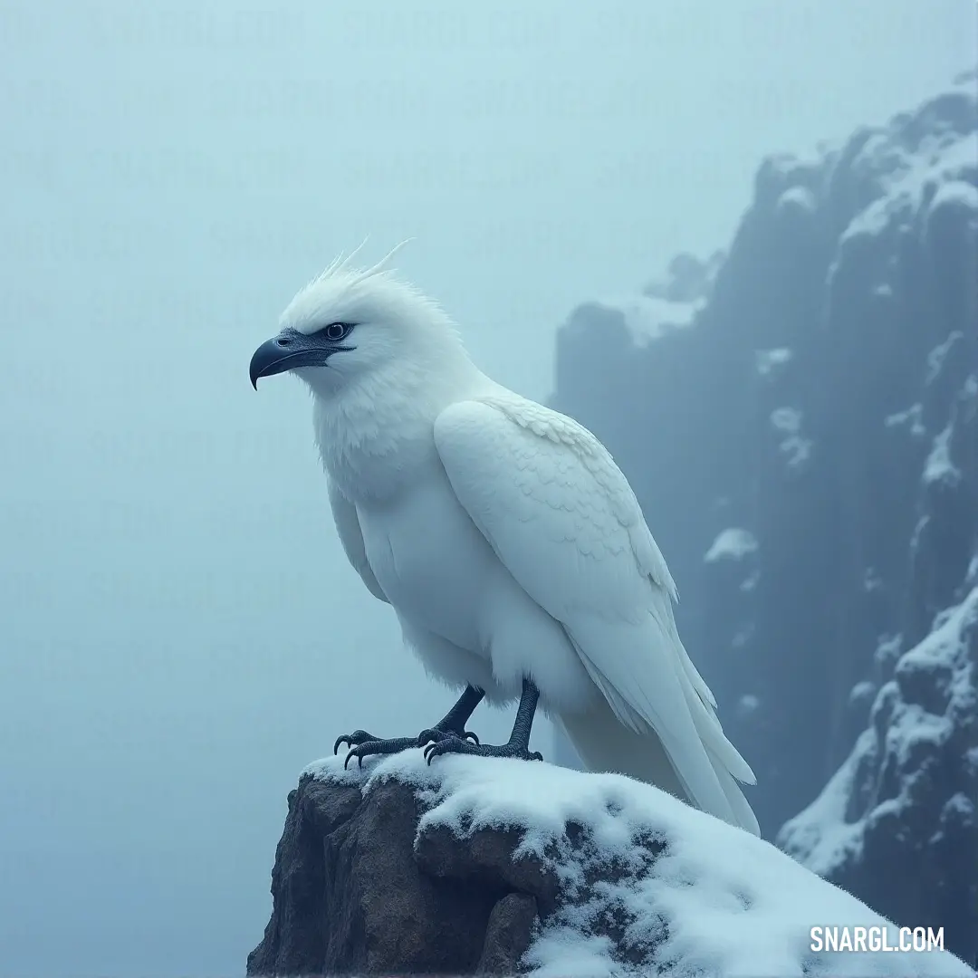 White Snowwing standing atop a snowy rock with a mountain covered in snow in the background. A White Snowwing stands proudly atop a snow-covered rock, gazing out over a mountainside blanketed in fresh snow. The rugged mountain peaks create a dramatic backdrop as the bird surveys the frozen world below.