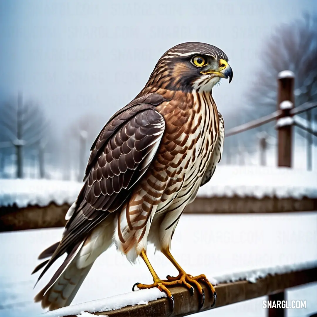 A powerful sparrowhawk of prey stands tall on a snow-covered fence post, surrounded by a blanket of fresh snow, its feathers a stark contrast against the wintry landscape, exuding strength and focus.