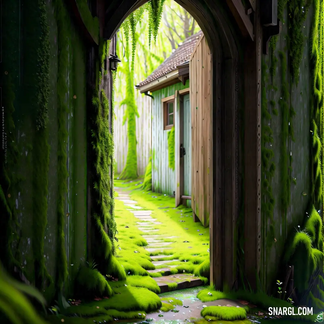 Green tunnel with moss growing on the walls and a door leading to a small building