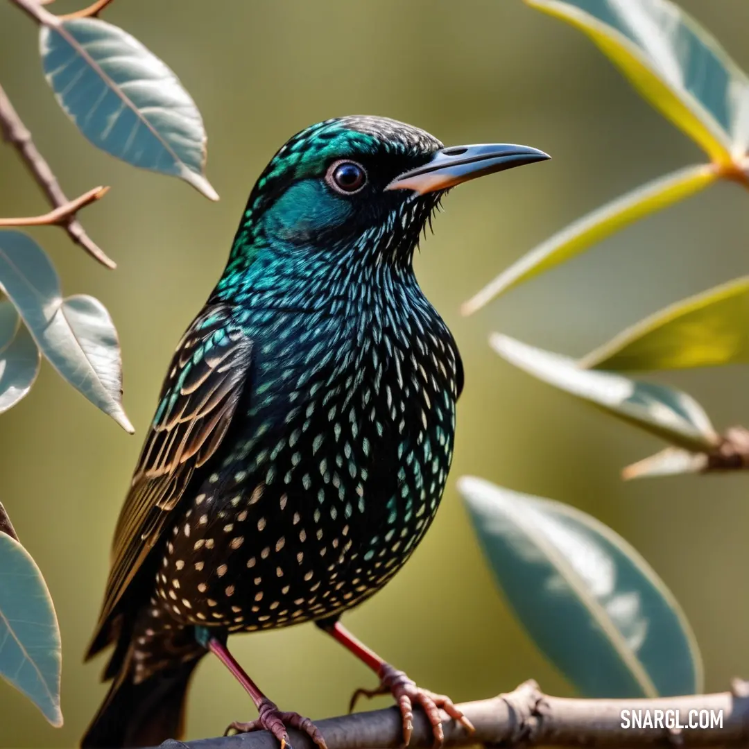 A starling perches on a branch, with leaves framing its neck and head, surrounded by a rich, green landscape that enhances its natural beauty.