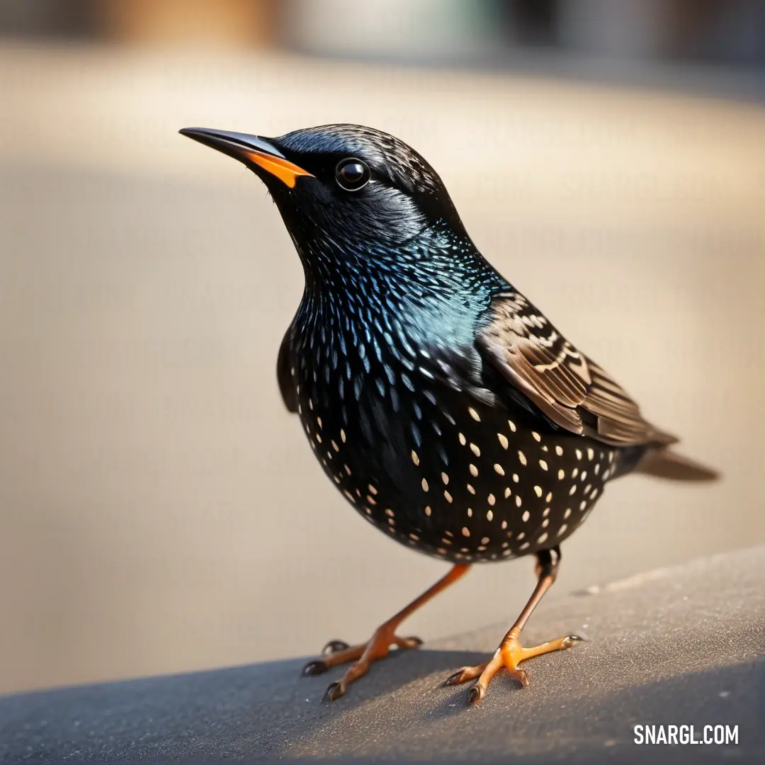 A small starling stands on a ledge under the sun, its beak open and eyes closed, basking in the warm sunlight of a peaceful setting.