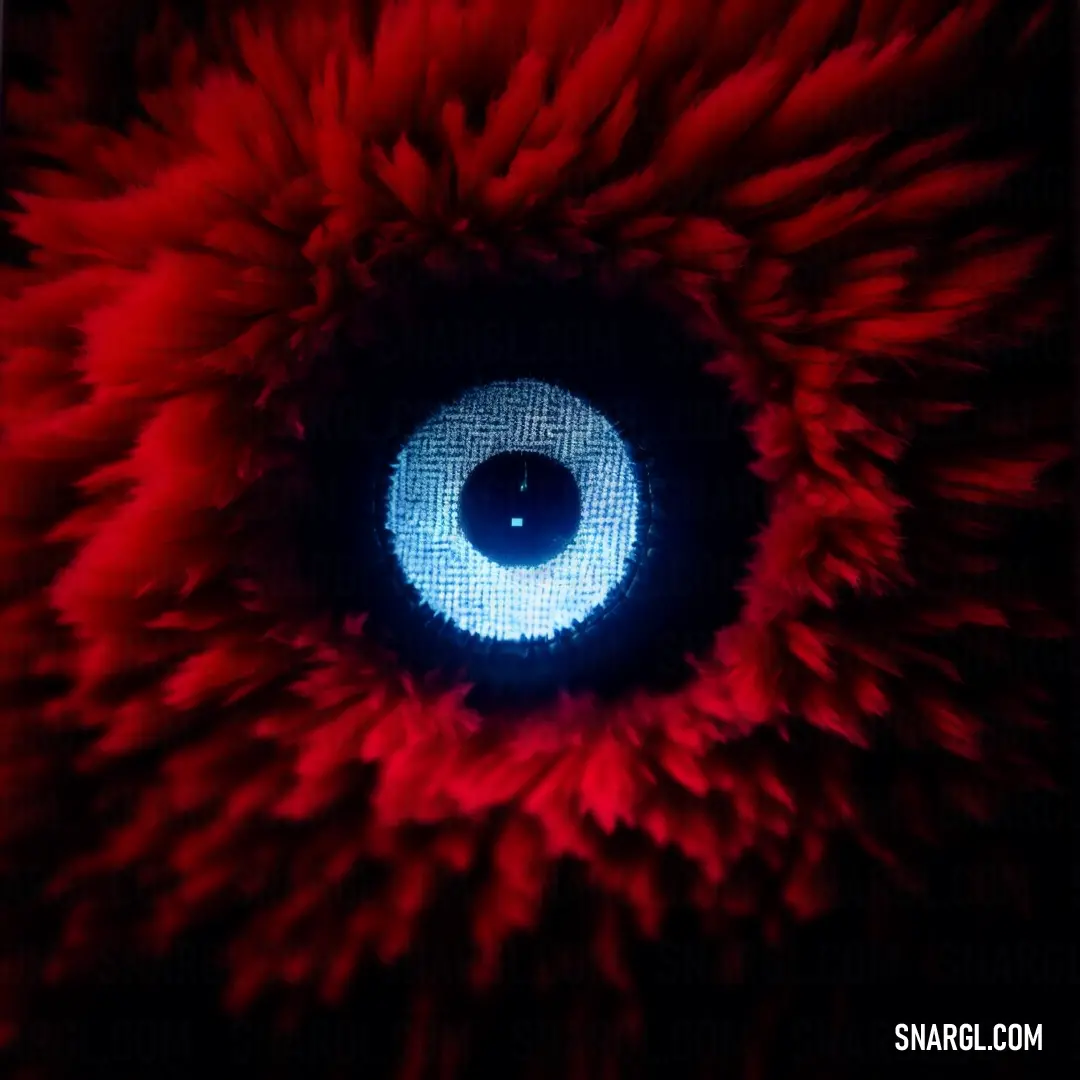 Close up of a red and blue eyeball with a black background and a white circle in the center. Example of Stizza color.