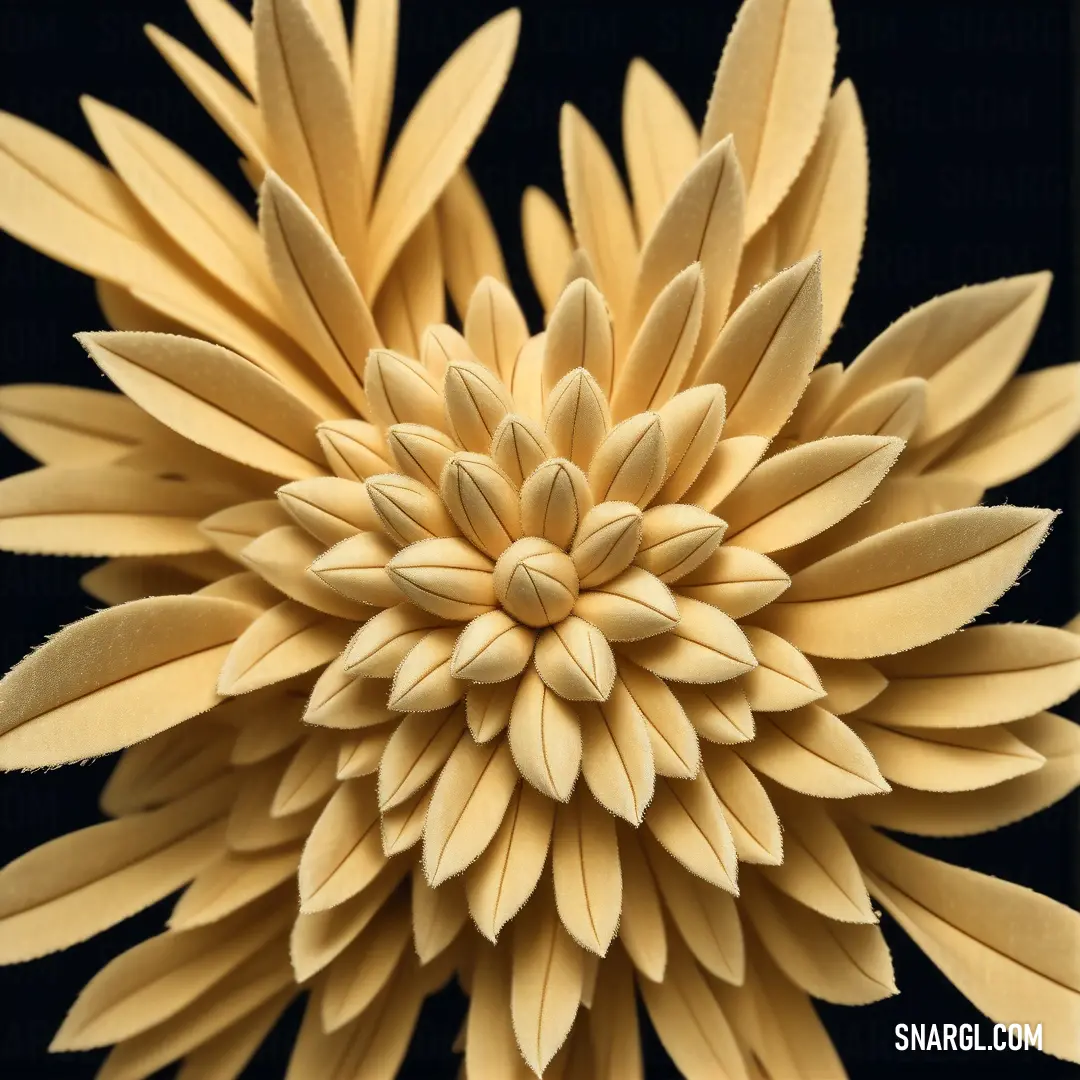 Straw color. Close up of a flower made of paper with a black background