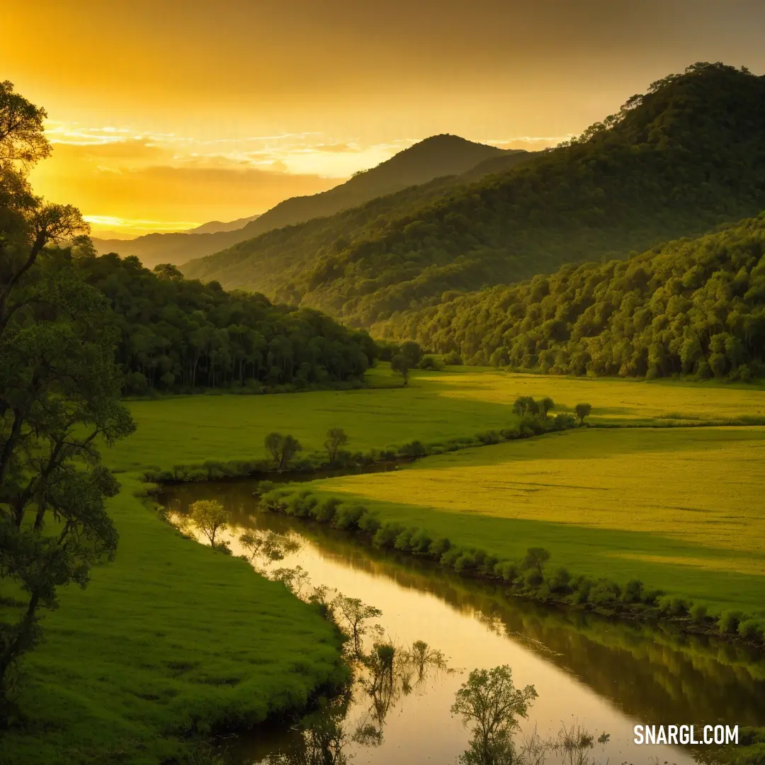 Picture with primary colors of Swamp green, Bistre, Field drab, Earth yellow and University of California Gold