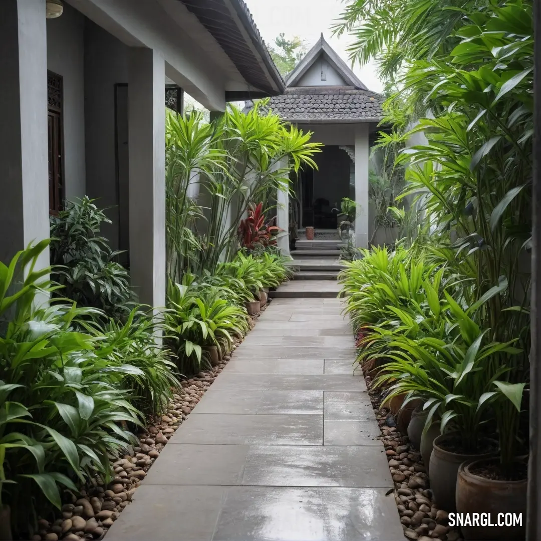 Swamp green color. Walkway between two buildings with plants and a walkway leading to a building with a door