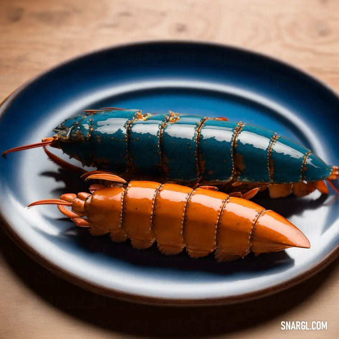 Plate with a lobster and a lobster on it on a table with a wooden table top and a blue plate. Example of RGB 205,87,0 color.