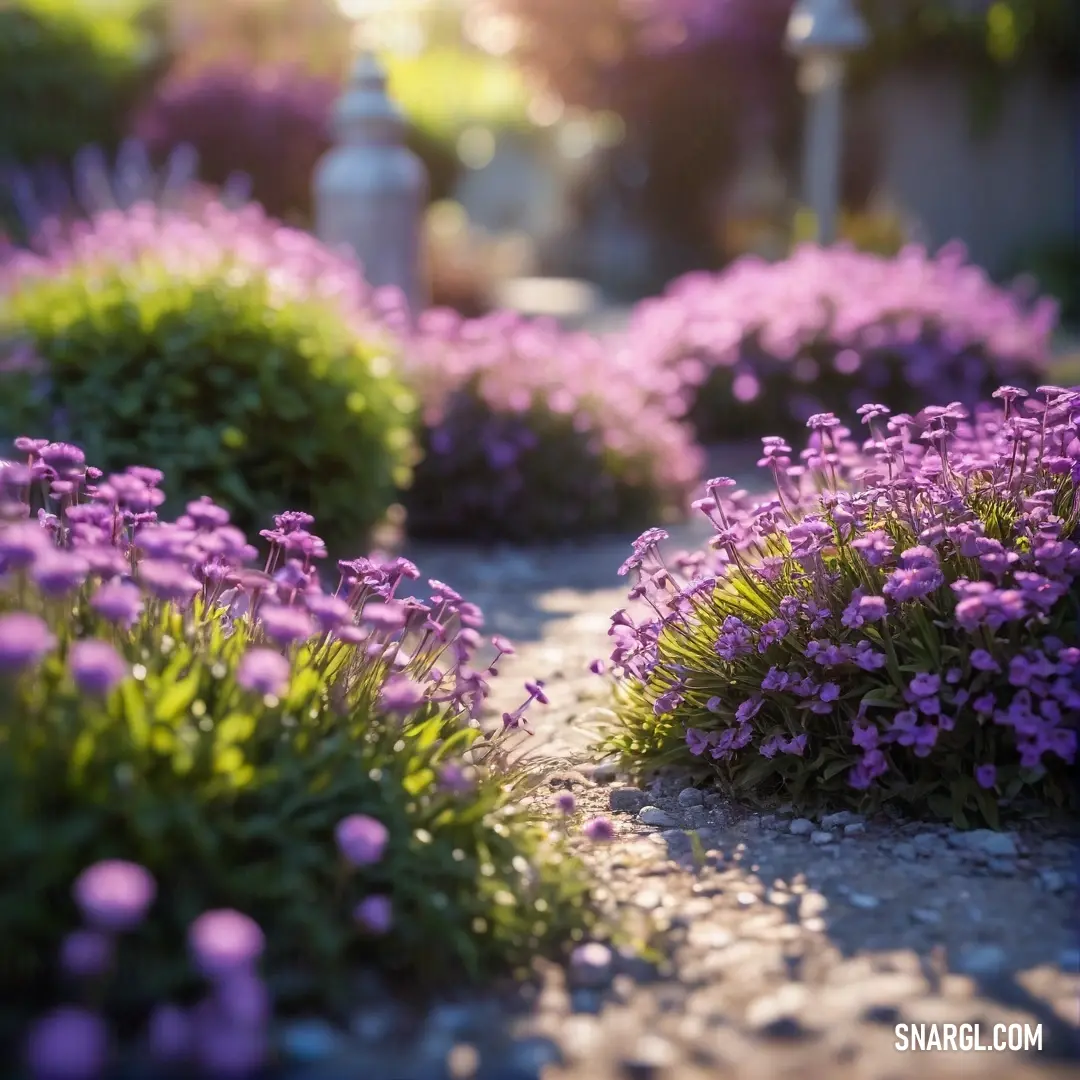 Garden with purple flowers and a white fire hydrant in the background. Example of RGB 216,191,216 color.