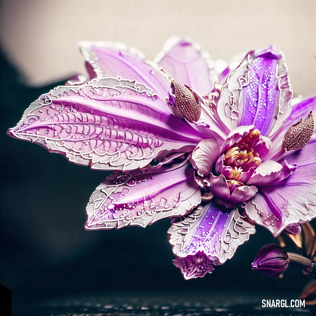 Purple flower with a white and brown center on a table top with a black background