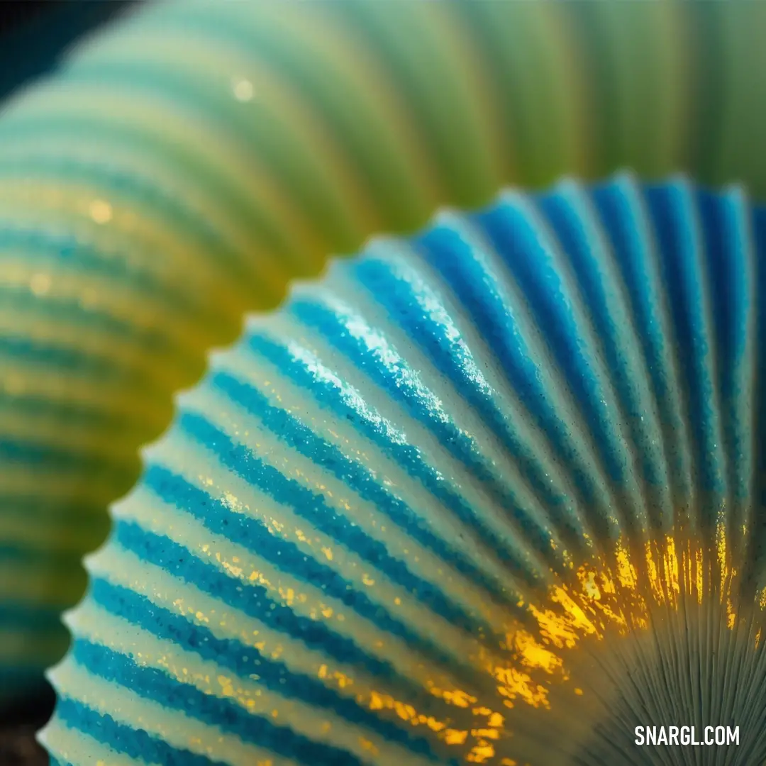 Close up of a blue and yellow fan with a yellow center and a black background with a white stripe