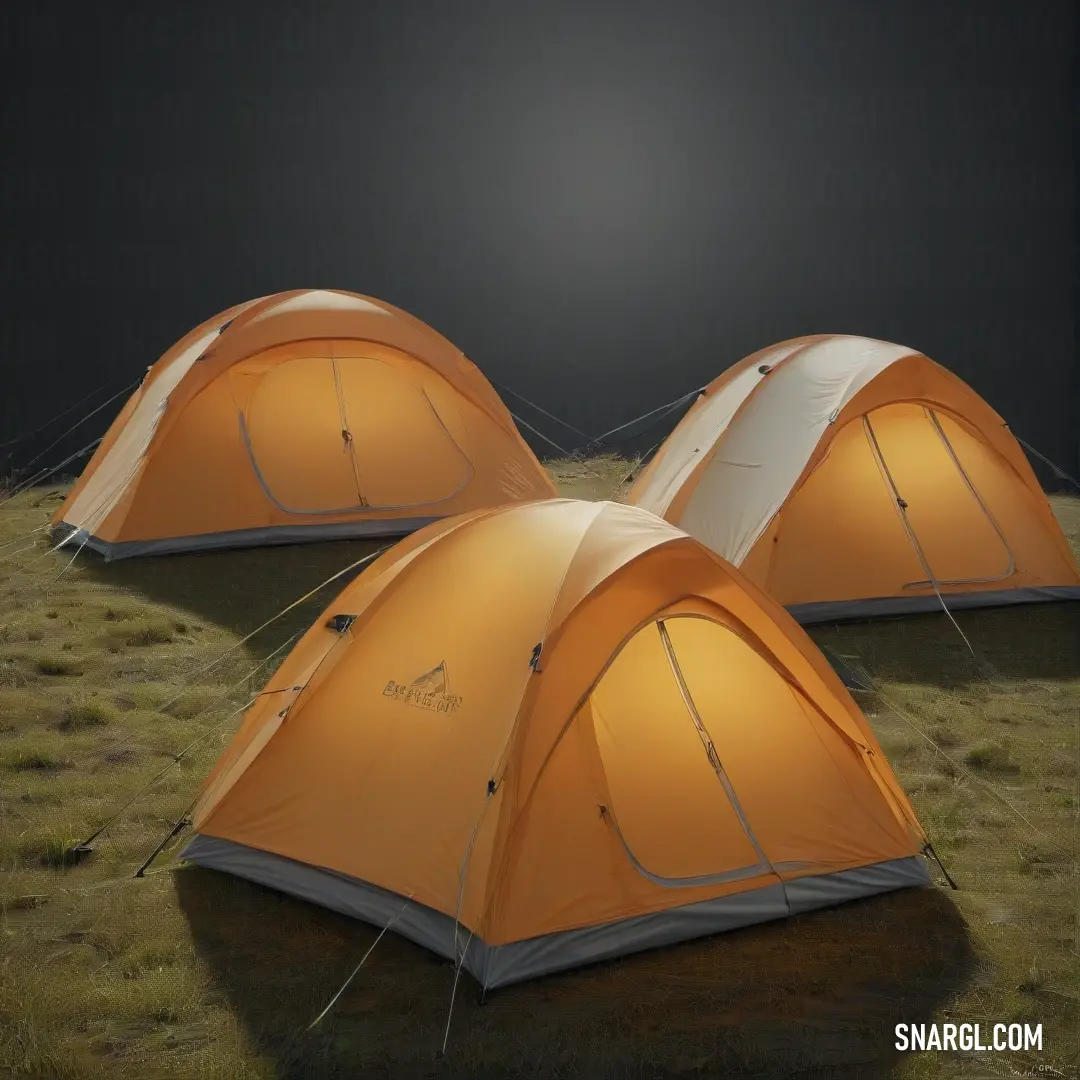 Tiger eye color. Three tents are set up in a field at night with the sun shining on them and the grass in front of them