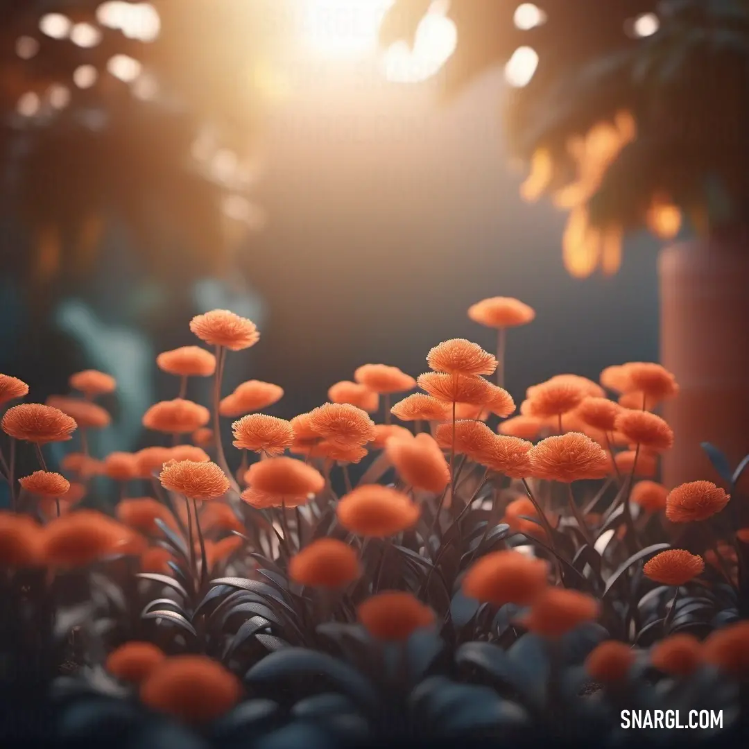 Bunch of orange flowers in a field with the sun shining through the trees behind them and a vase. Example of CMYK 0,61,72,0 color.
