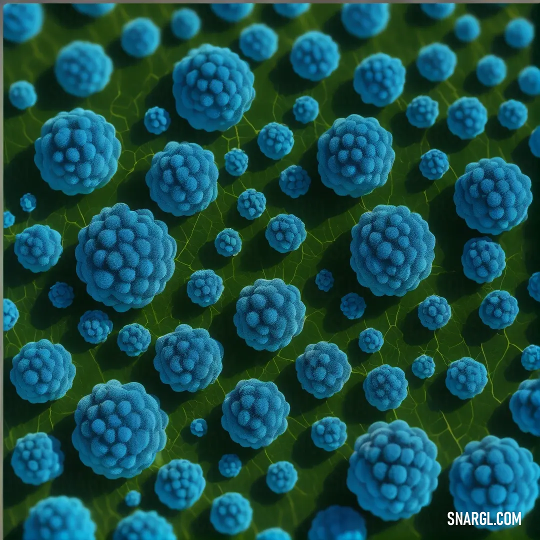 Close up of a plant with blue flowers on it's leaves and a green background. Example of True Blue color.