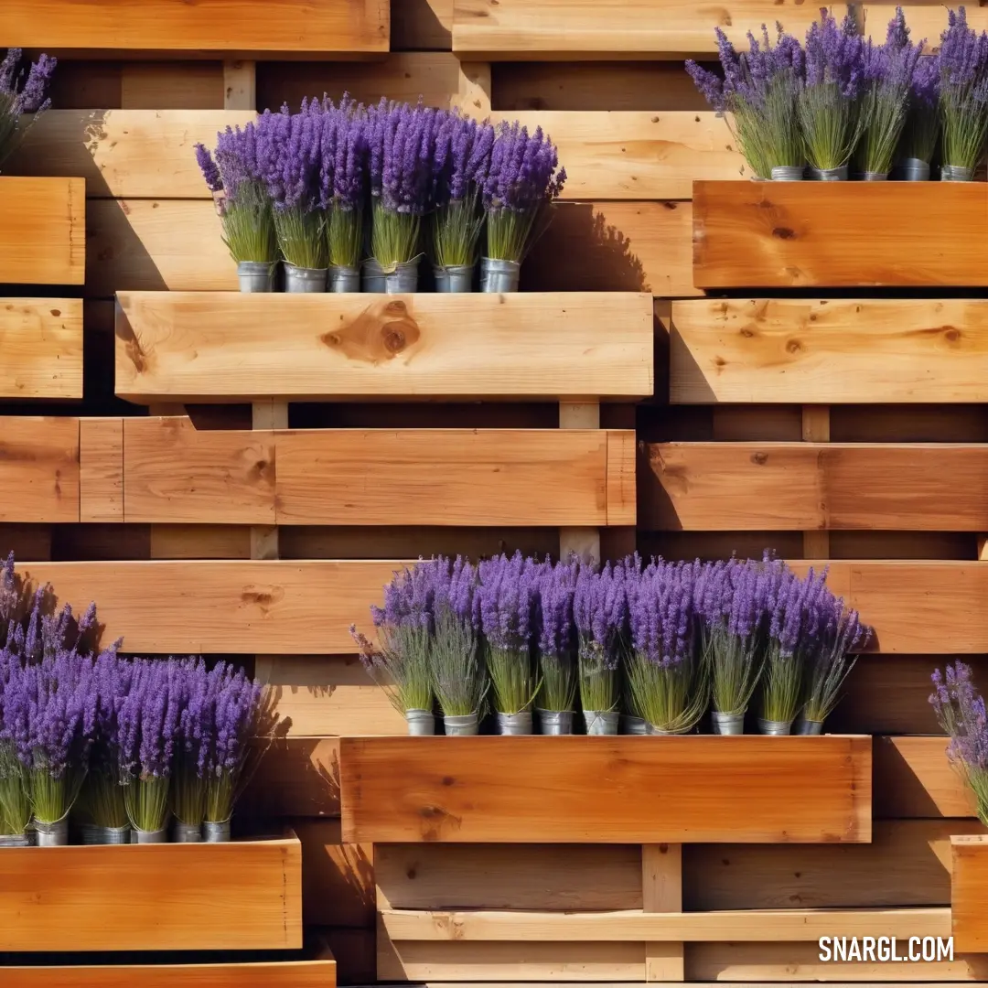Ube color example: Bunch of wooden boxes with purple flowers in them on a wall of wood pallets with a planter