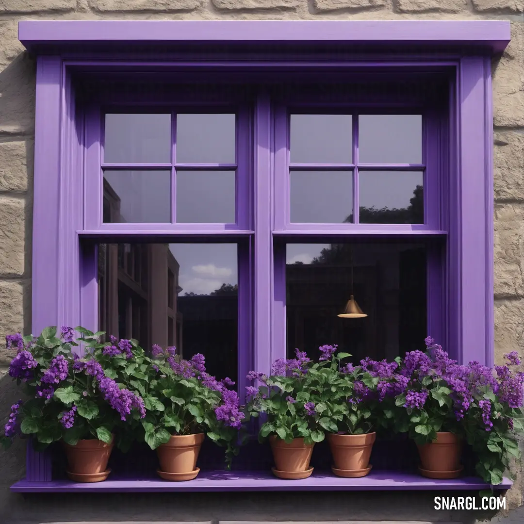 Purple window with potted plants in front of it. Color CMYK 30,38,0,24.