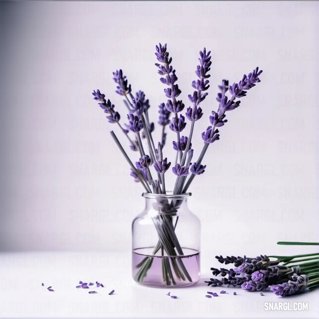 Vase filled with lavender flowers next to a pile of lavender buds on a table top with a white background. Example of #8878C3 color.