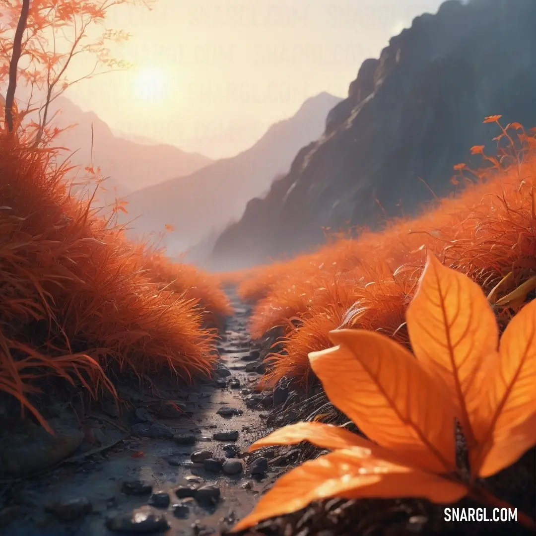 Ubuntu Orange color. Path through a grassy area with a mountain in the background