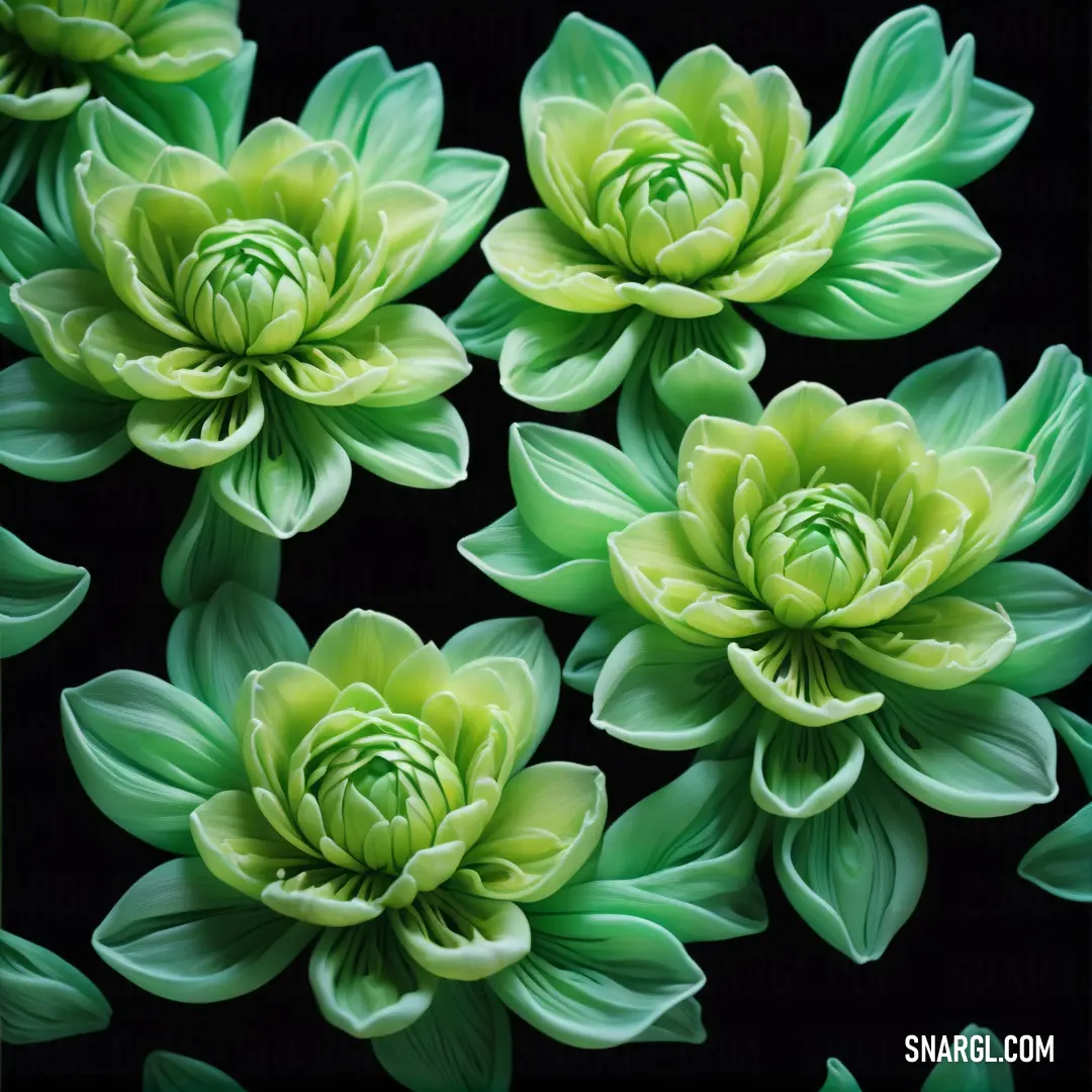 UFO Green color. Bunch of green flowers on a black background with leaves and petals in the center of the picture