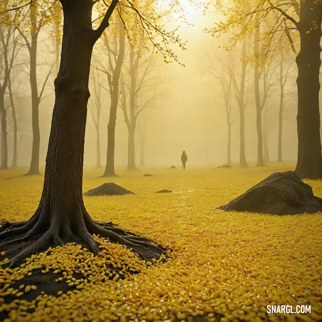 University of California Gold color. Person standing in a field with trees and leaves on the ground and fog in the air above them