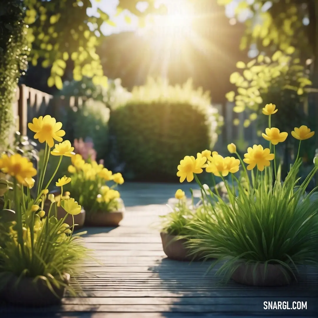 Wooden walkway with yellow flowers and grass in the foreground. Example of CMYK 0,0,60,0 color.