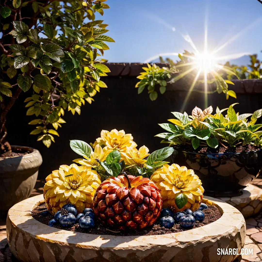 Urobilin color example: Garden with a stone planter filled with fruit and flowers and a sun shining in the background