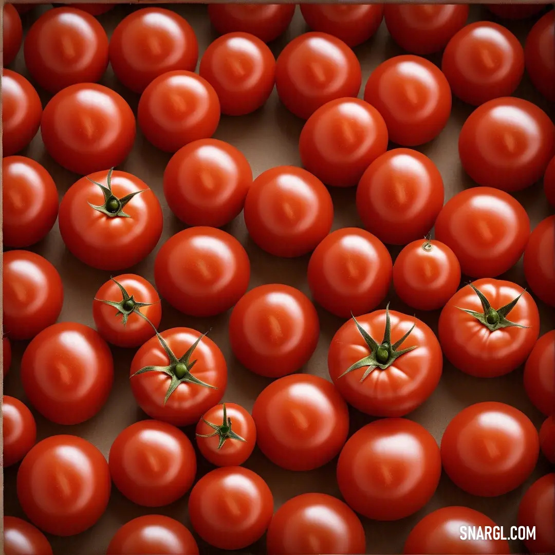 A charming bunch of tomatoes neatly arranged in a rustic wooden box, creating a scene that evokes thoughts of late summer harvests. This imagery celebrates the natural beauty and reward of cultivating fresh, flavorful produce.