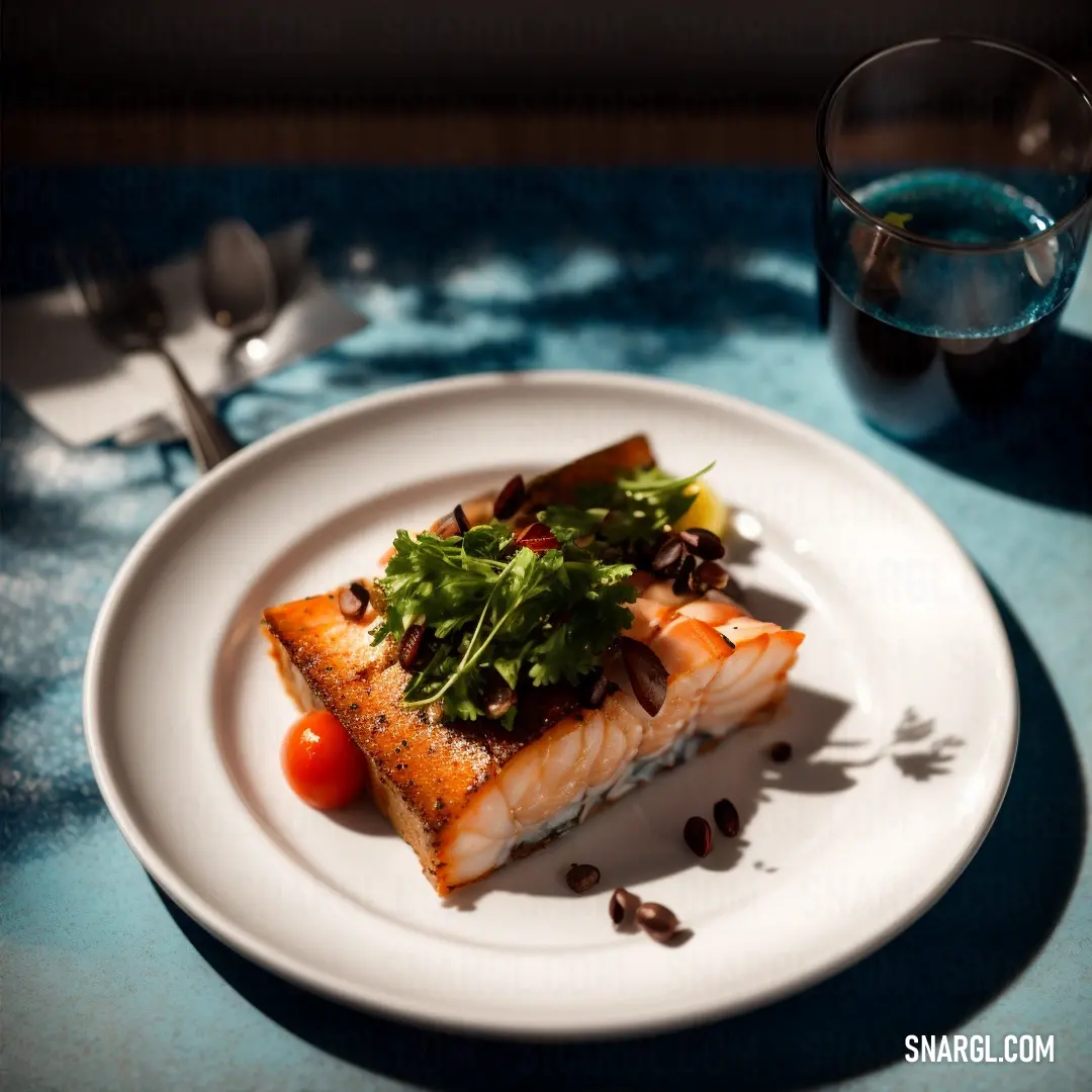 A plate featuring a portion of fish with a glass of water on the side, set on a neatly arranged table with utensils placed thoughtfully. The color tone in the image is influenced by the deep USC Cardinal hue.