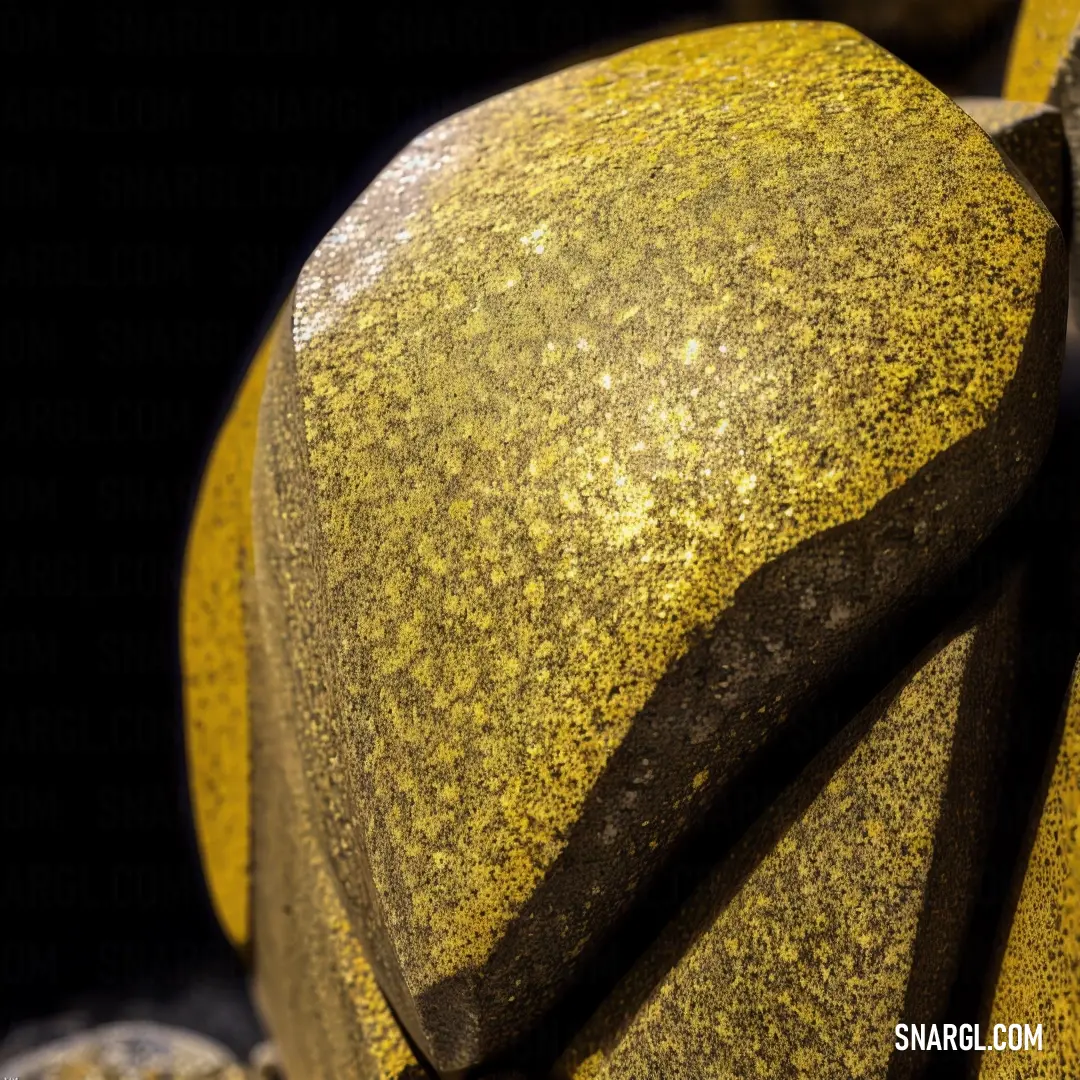USC Gold color. Close up of a yellow fruit with a black background