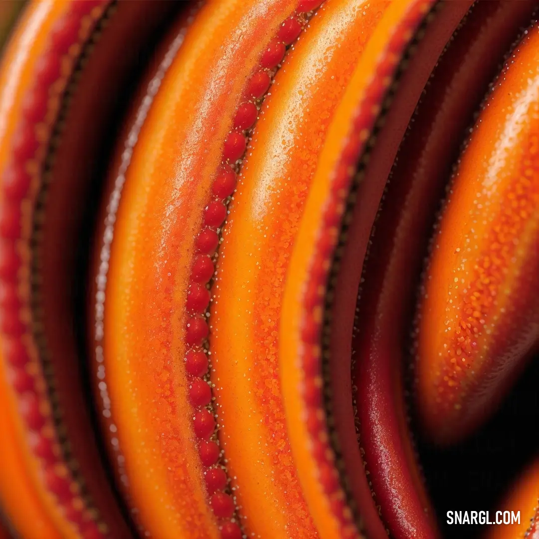 Close up of a bunch of orange and red objects with a black background and a white border around the edges