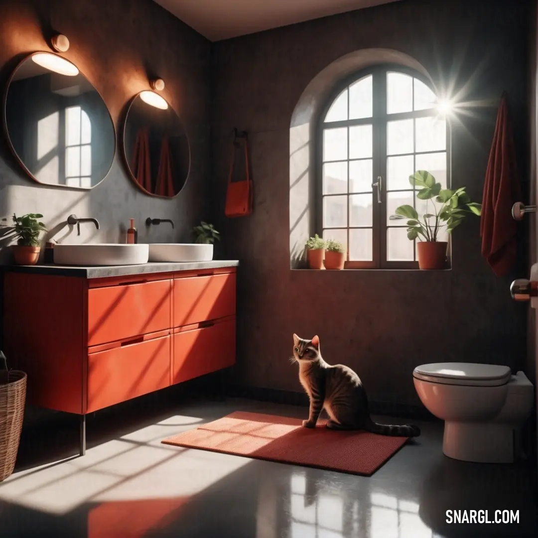 Cat on a rug in a bathroom next to a toilet and a sink with a large window. Example of CMYK 0,71,77,11 color.