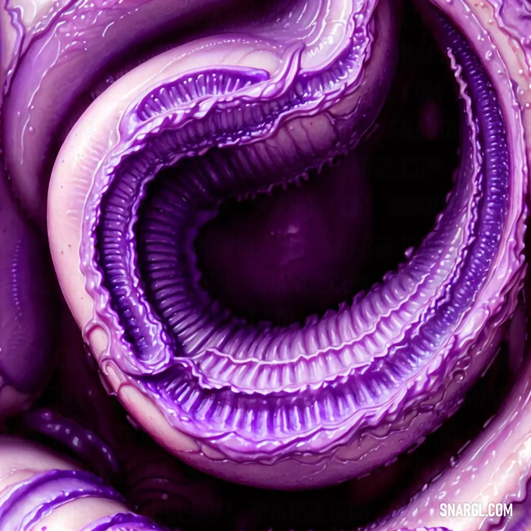 Close up of a purple flower with water droplets on it's petals and a spiral design on the petals