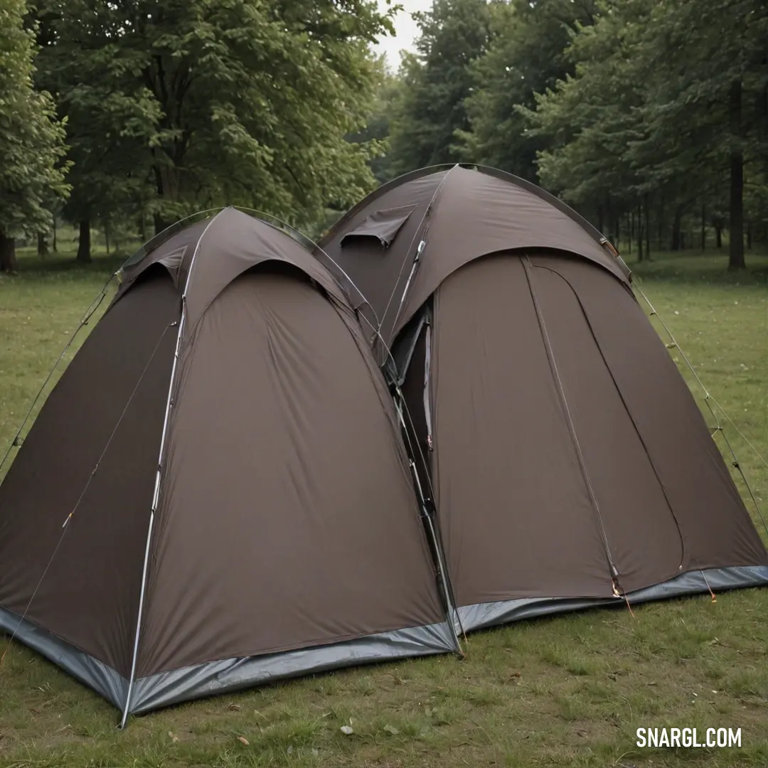Two tents are set up in a field with trees in the background. Example of #645452 color.