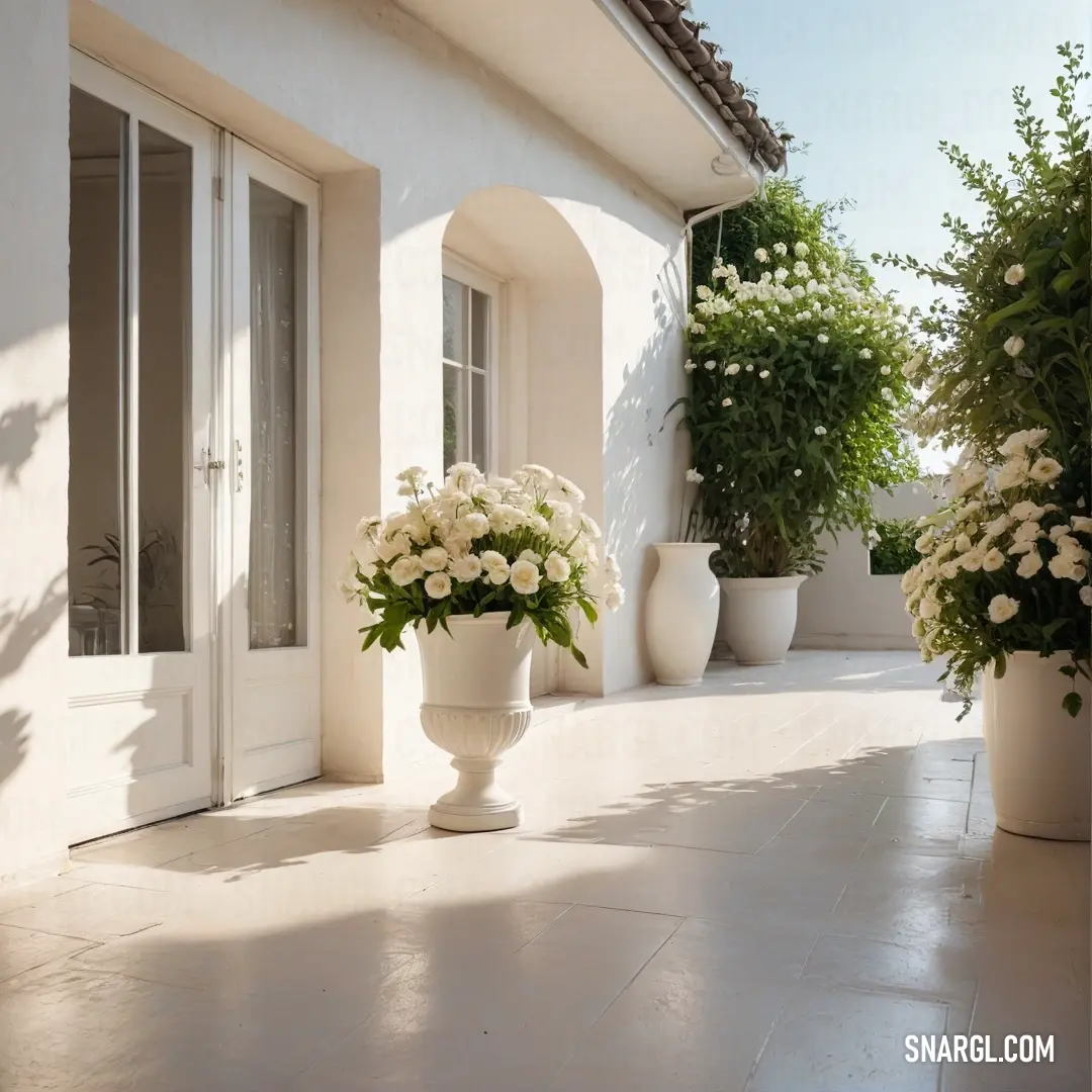 White color example: White vase with flowers on a patio next to a building with a door and windows