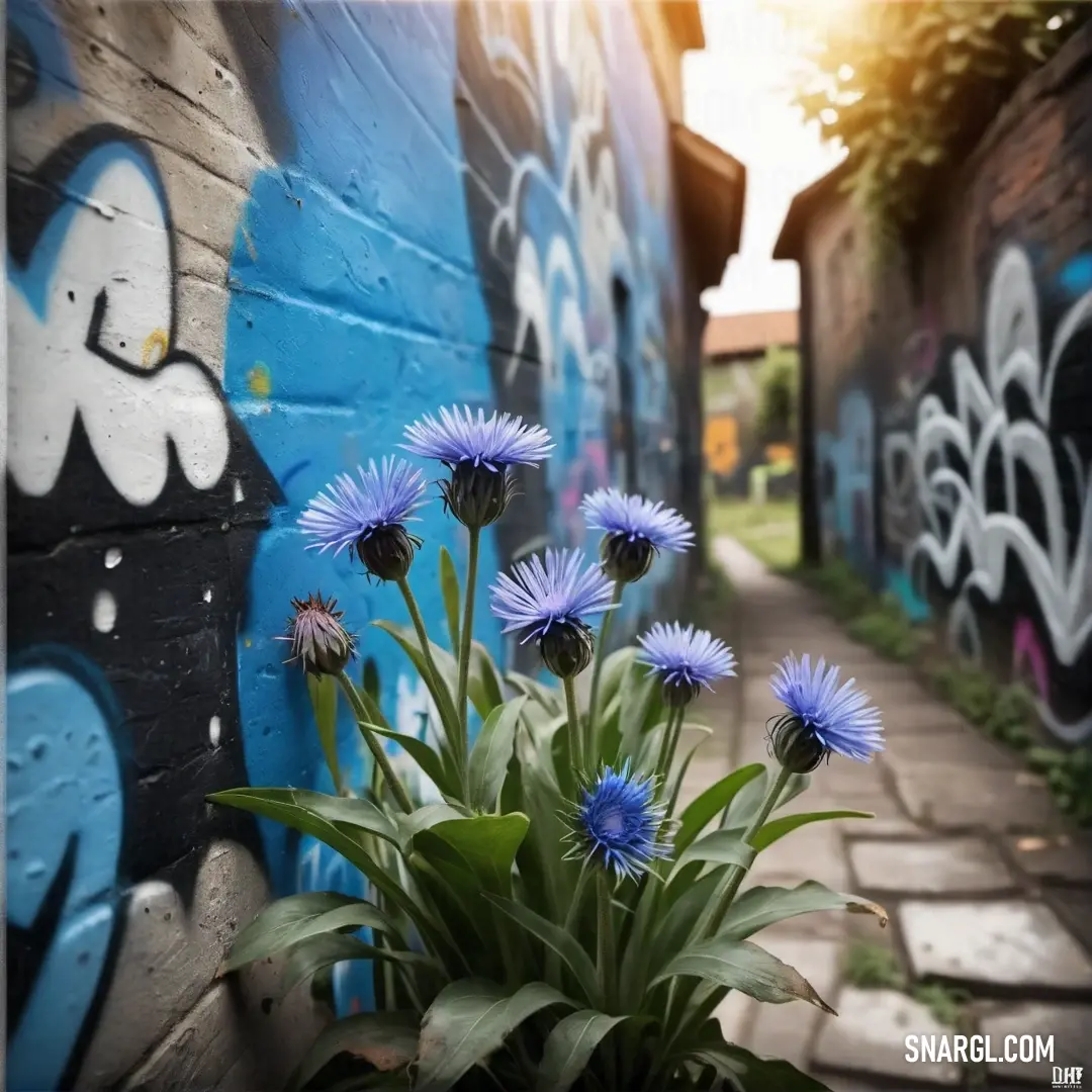Bunch of flowers that are in a pot near a wall with graffiti on it and a sidewalk with a sidewalk. Example of #A2ADD0 color.