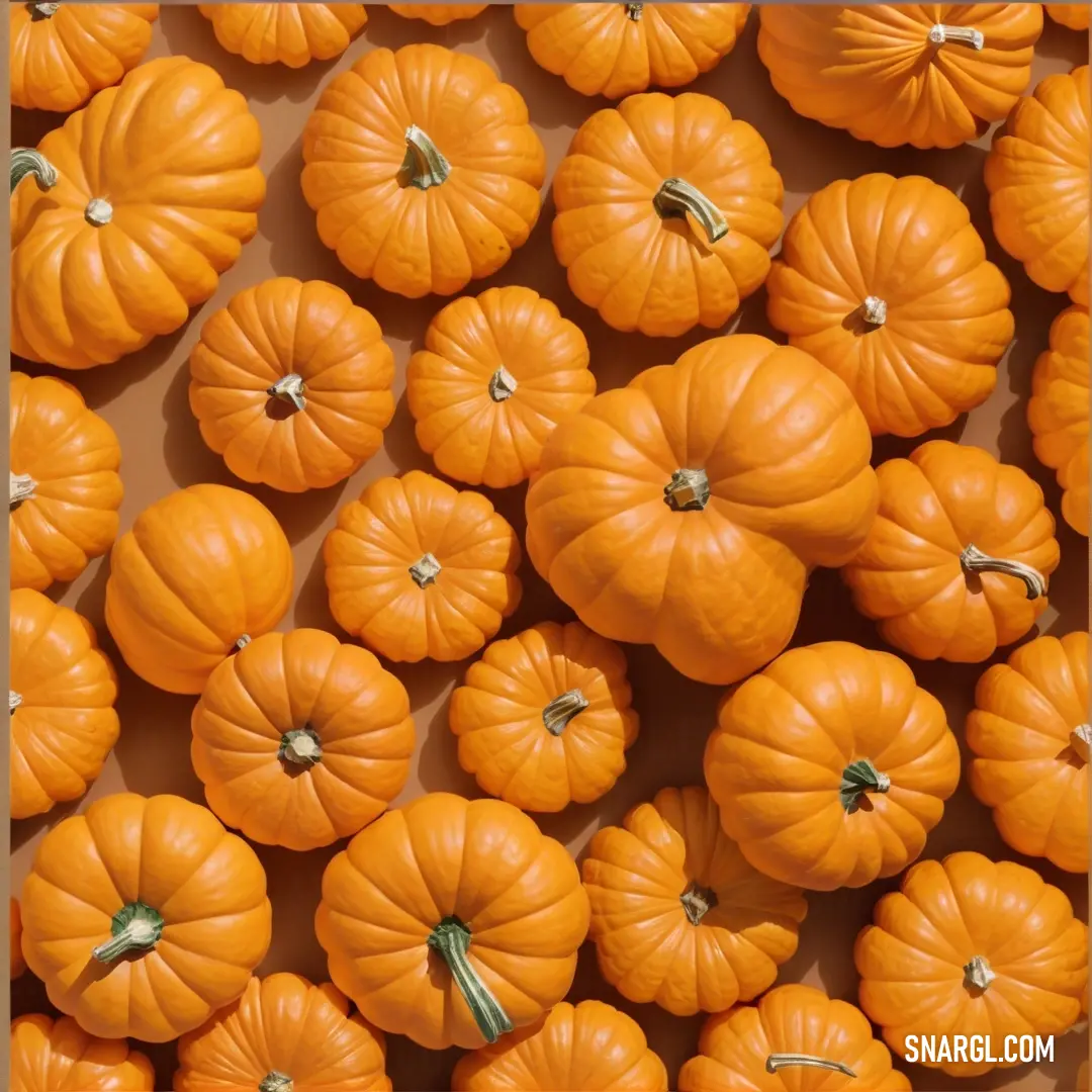 Bunch of small pumpkins are arranged in a square pattern on a table top. Color Yellow Orange.