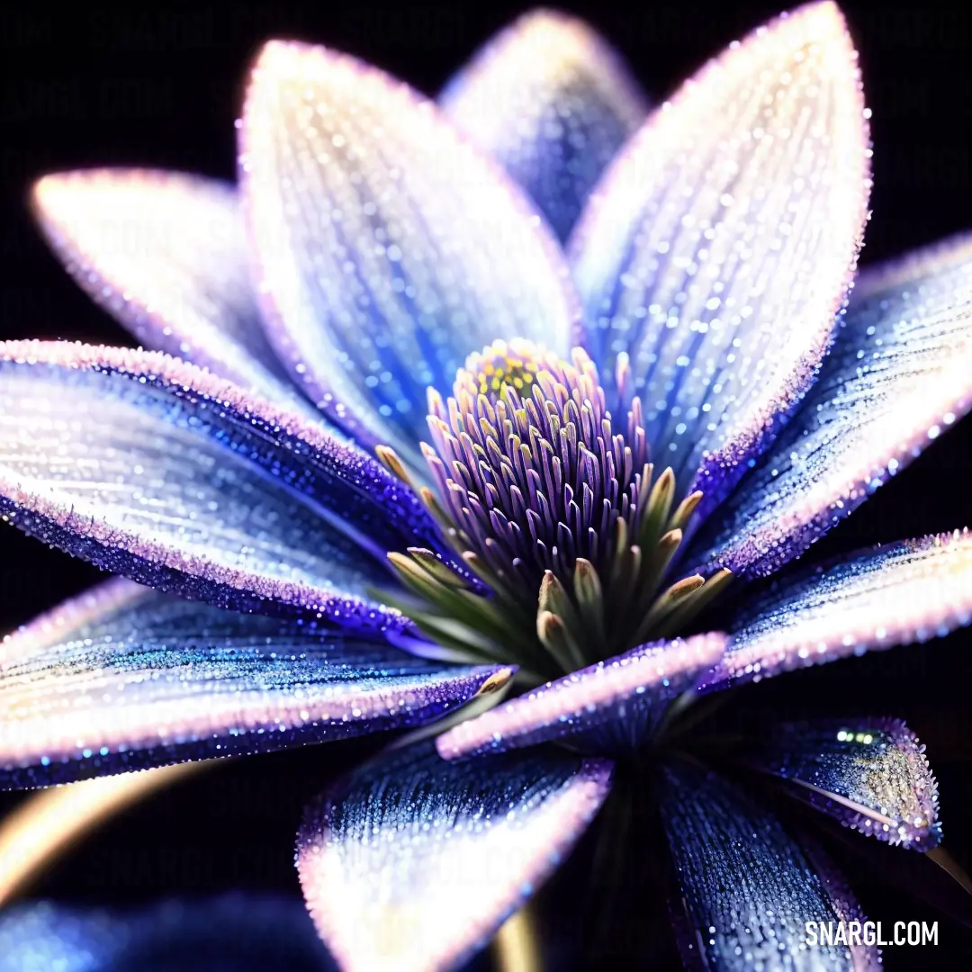 Blue flower with water droplets on it's petals and a black background with a green center