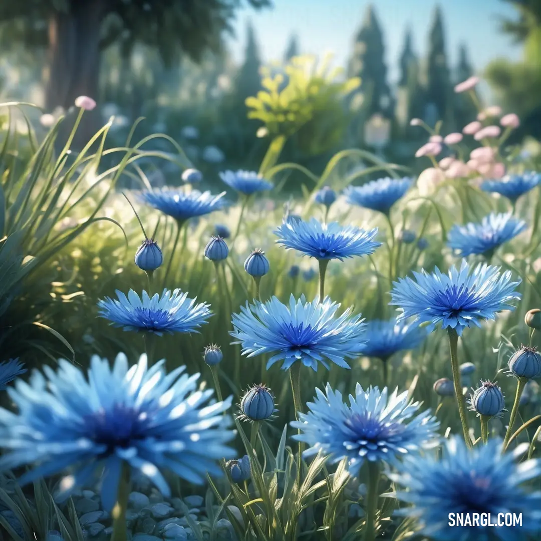 Field of blue flowers with a blue sky in the background. Example of Zaffre color.